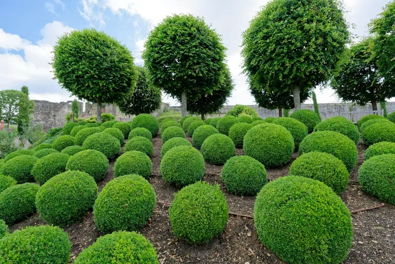 landscaping banner wilsonville