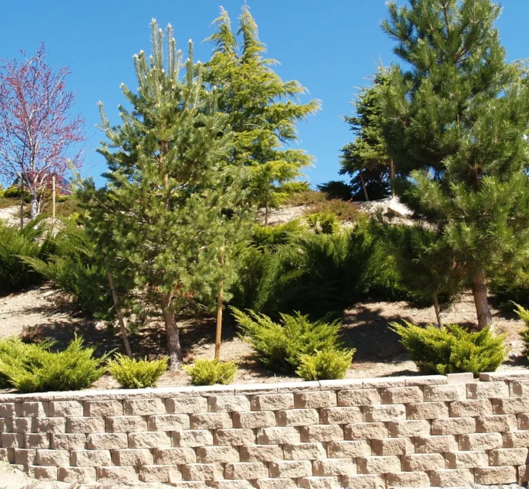 Paver patio and walkway hardscape construction in progress at a Portland, Oregon home