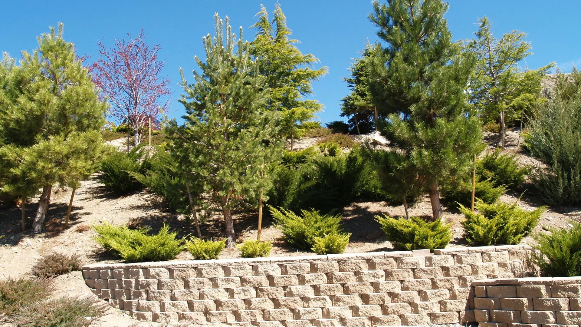 Paver patio and walkway hardscape construction in progress at a Portland, Oregon home