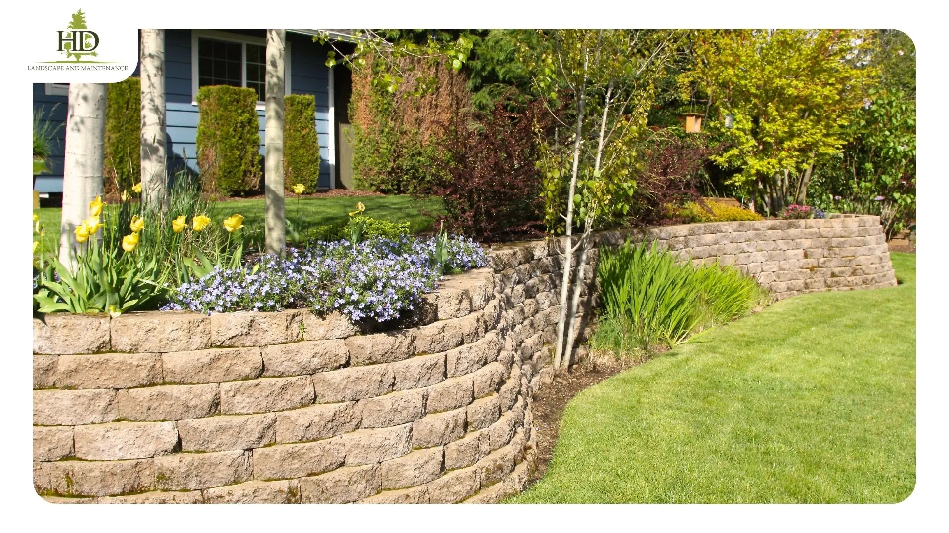 Steep wooded slope above a Clackamas County home showing grade change and mature Douglas fir before retaining wall work