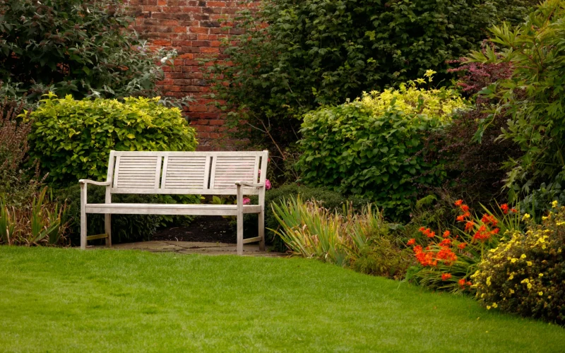 shot-white-bench-park